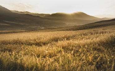 A beautiful landscape with fields and mountains at scenic sunset