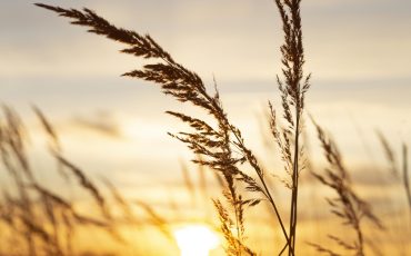 inspiring-view-morning-light