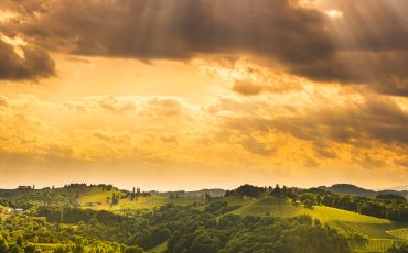 South styria vineyards landscape, place near Gamlitz, Austria, Eckberg, Europe. Grape hills view from wine road in spring. Tourist destination, travel spot.